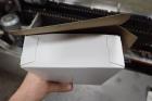 Bradman Lake In-line Tri Seal Carton Closer